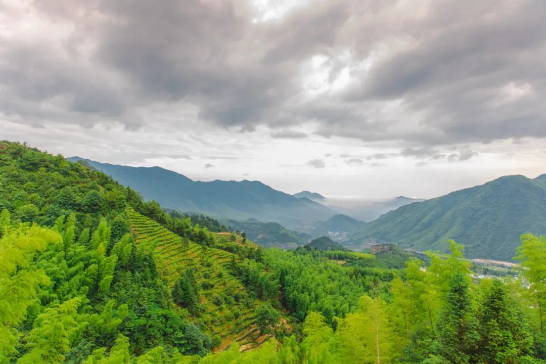 万里茶道第一镇铅山休闲一日游,铅山县万里茶道世界遗产