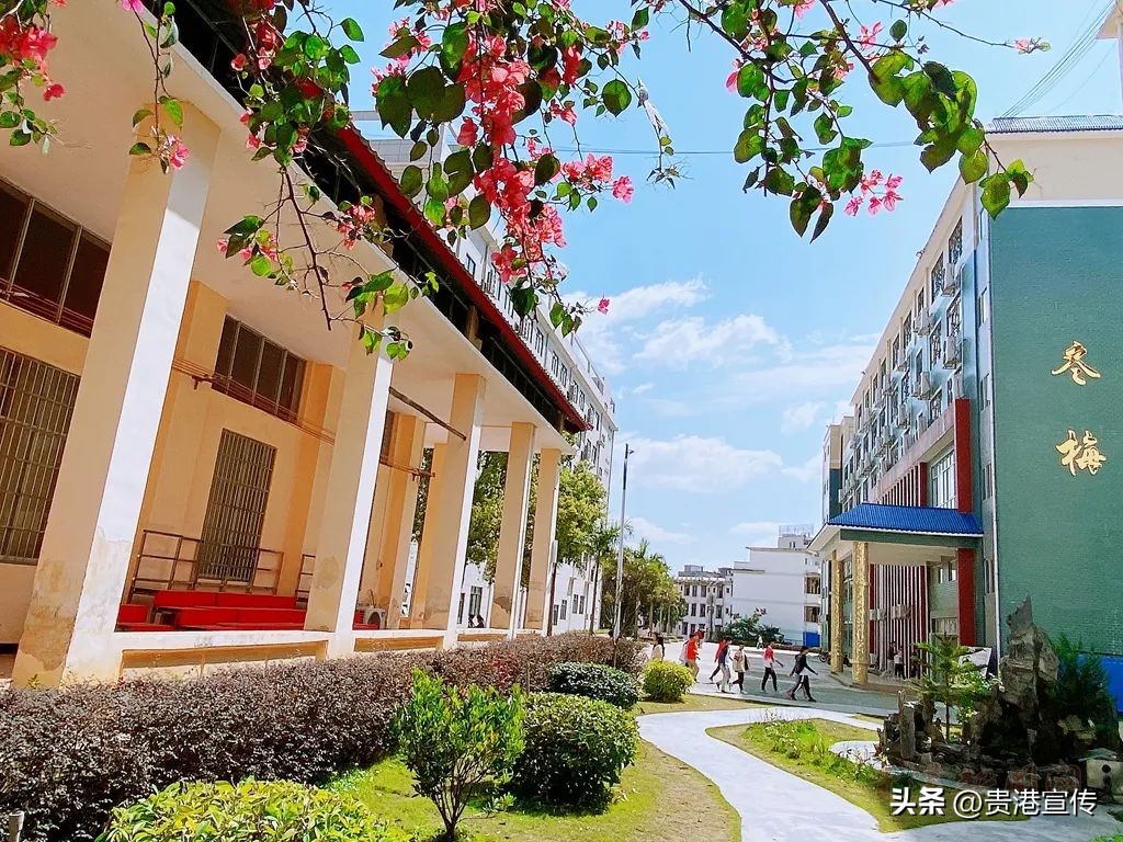 你好大安,大安高中联系方式