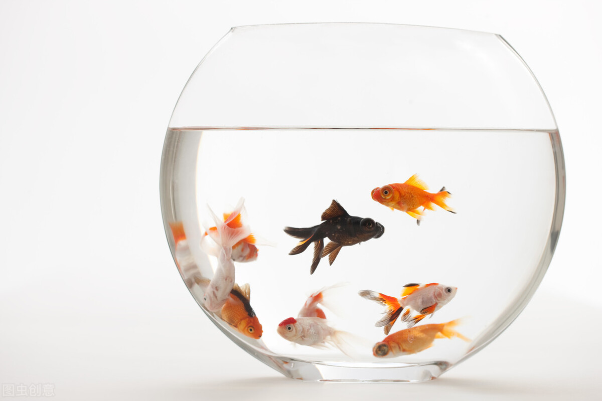 哪里有代理记账公司精准获客方法,代理记账新手怎么获客