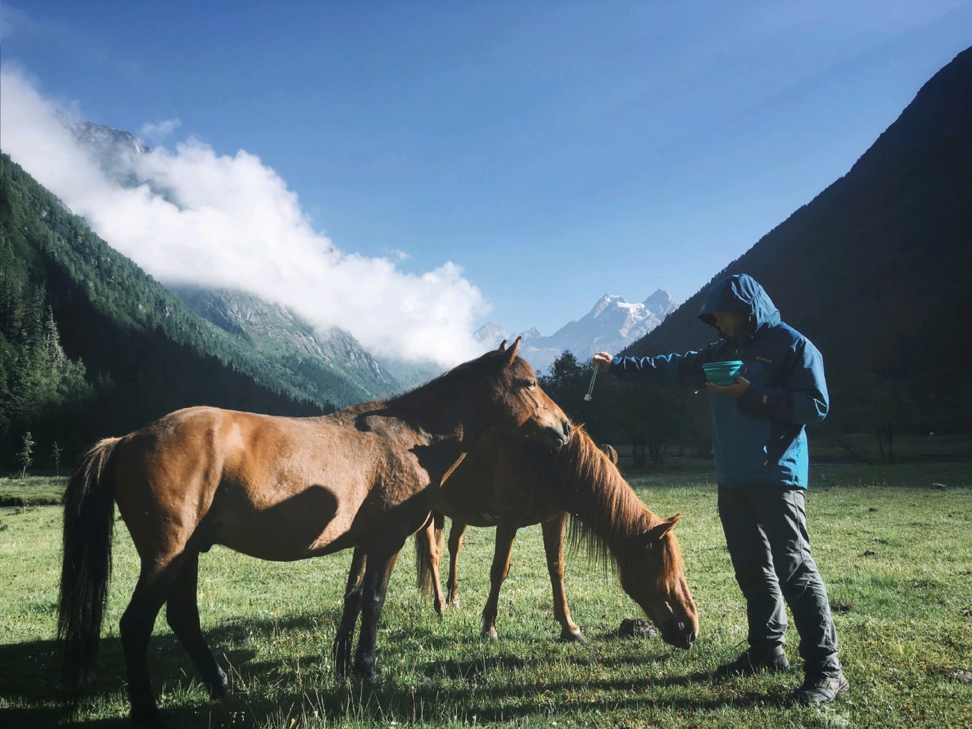 四姑娘山景区旅游攻略长坪沟,四姑娘山海子沟和长坪沟哪个好玩