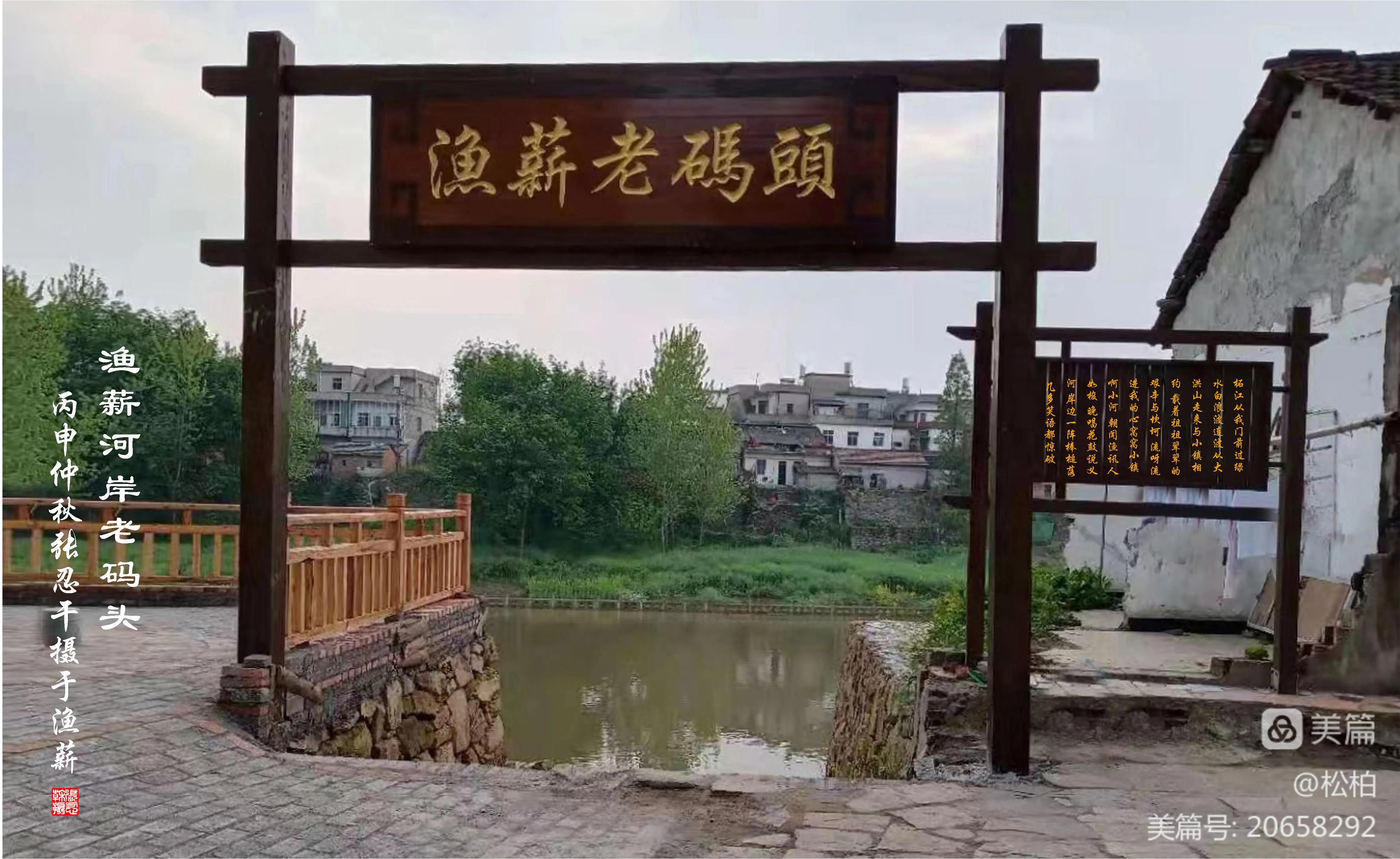 松柏古树图片,松柏古筝品牌