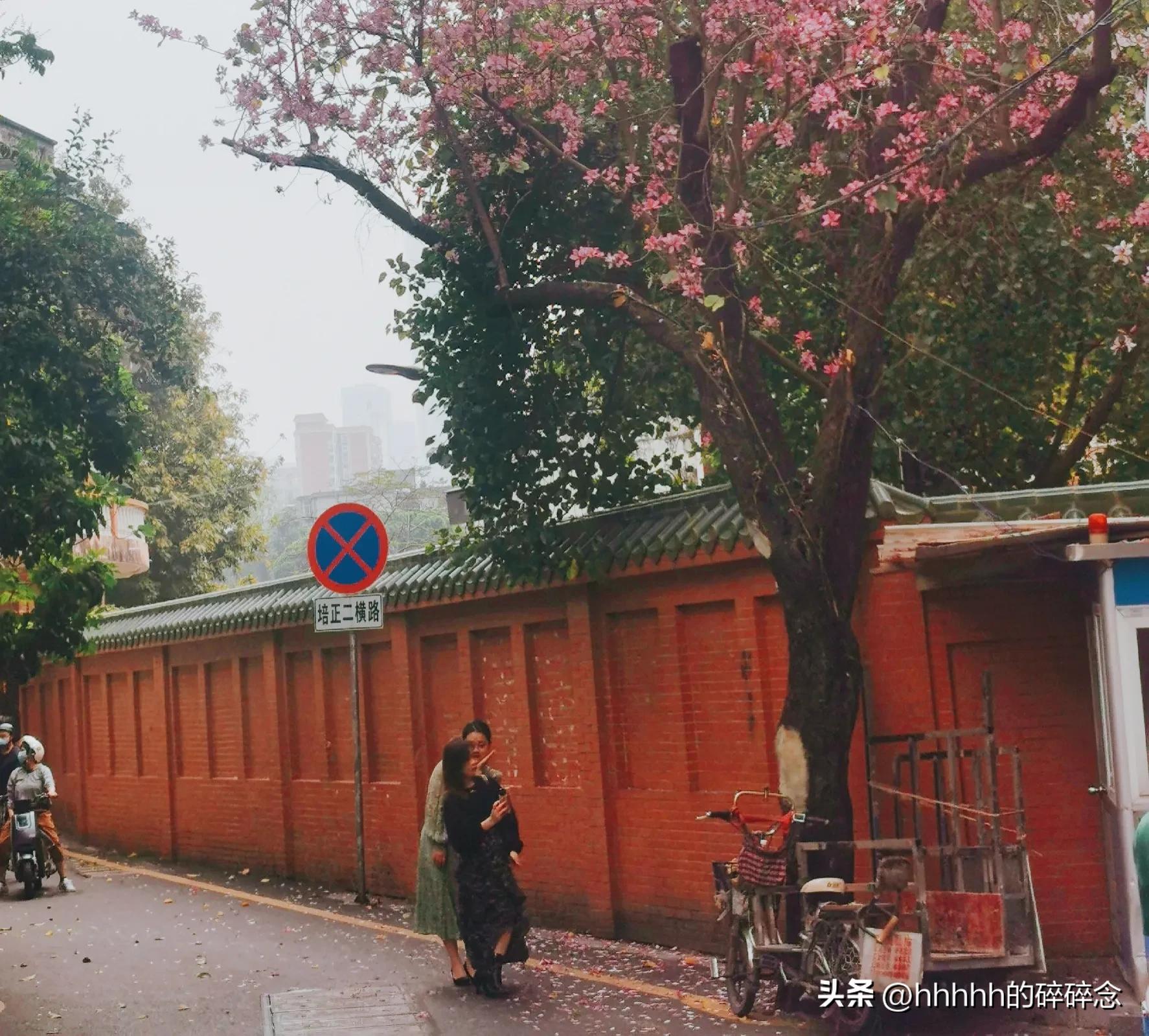 广州周边城市游三天两夜,广州长隆野生动物园两天一晚攻略