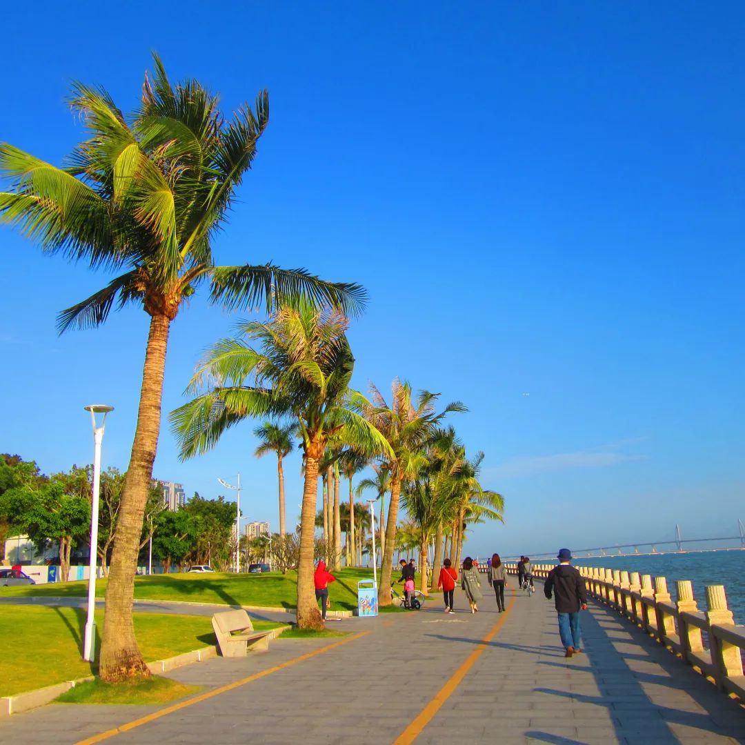 珠海出发港珠澳大桥一日游攻略,珠海冬游港珠澳大桥一日游订票