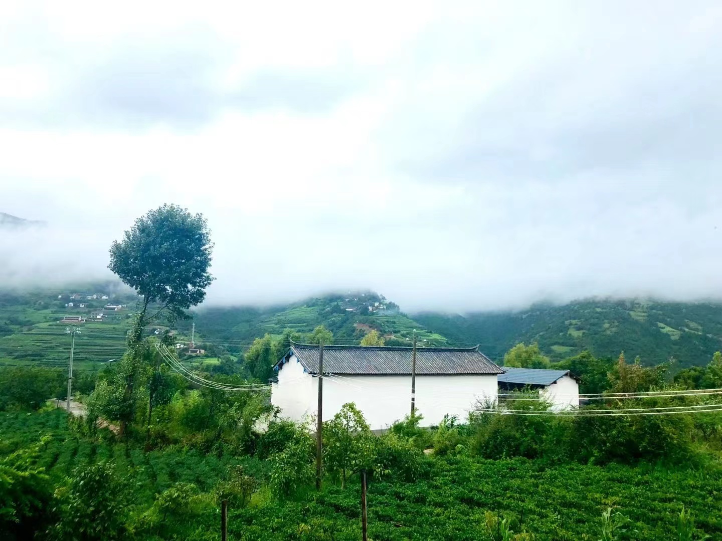 有个啃老的哥嫂,啃老的哥嫂