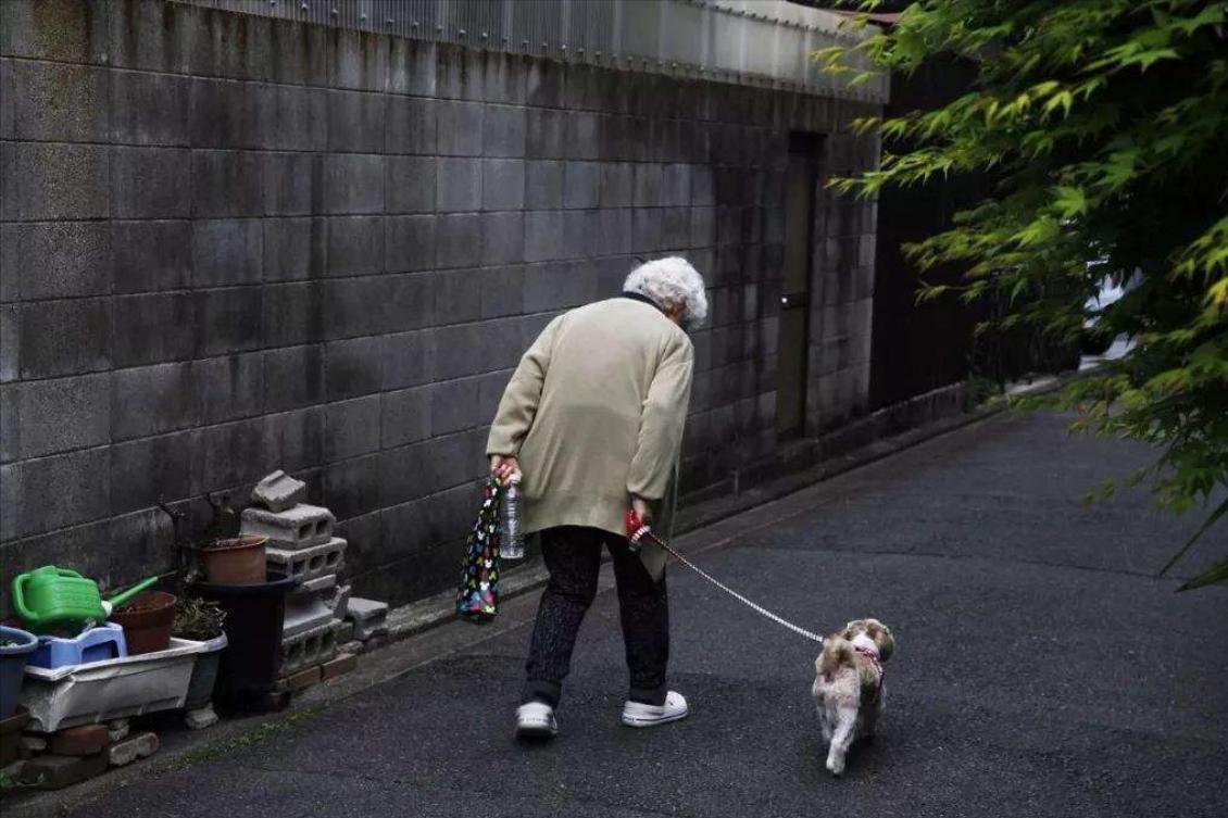 中国为什么允许日本人移居中国,为什么允许日本人到中国定居