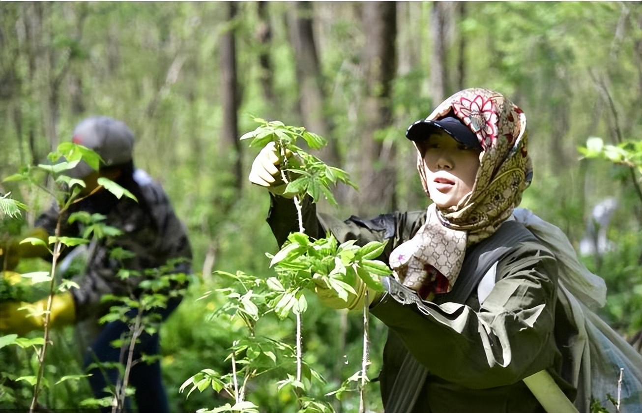 氧居田园山水康县，一个你值得去体验的地方！
