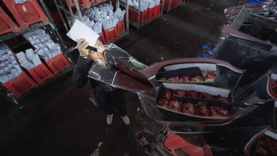 云花大结局云花和谁在一起了,斗南云花