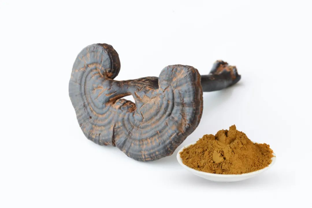 复方溴丙胺太林片别名,复方溴丙胺太林片说明书