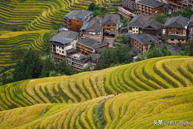 未来农村要进入收费时代了吗,2022年农村开始收费收的是什么费