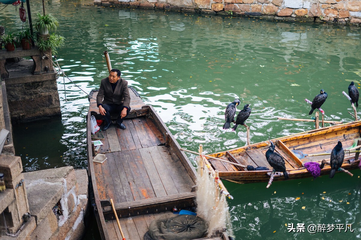 苏州同里古镇现状,苏州同里古镇旅游区