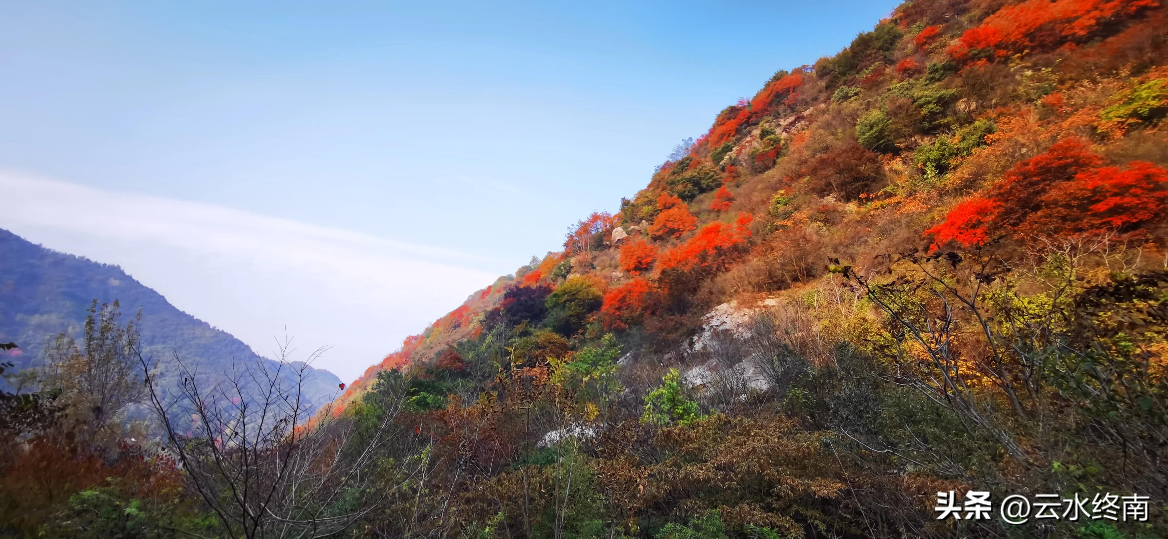 享个清福！到少有人知的峙峪看看漫山红叶，喝喝住山人清茶