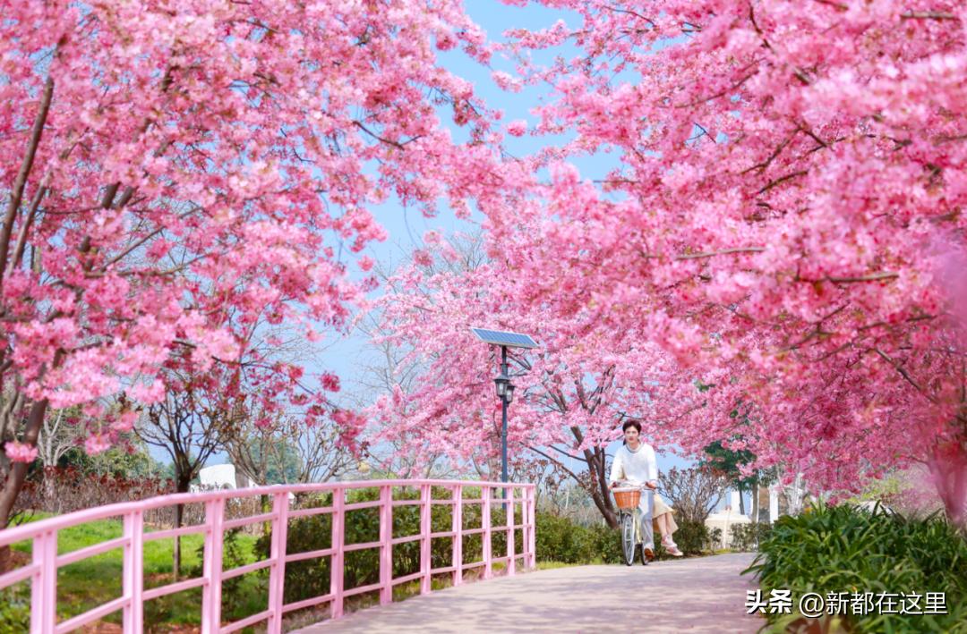 童鞋六月份做啥活动,童鞋六岁孩子