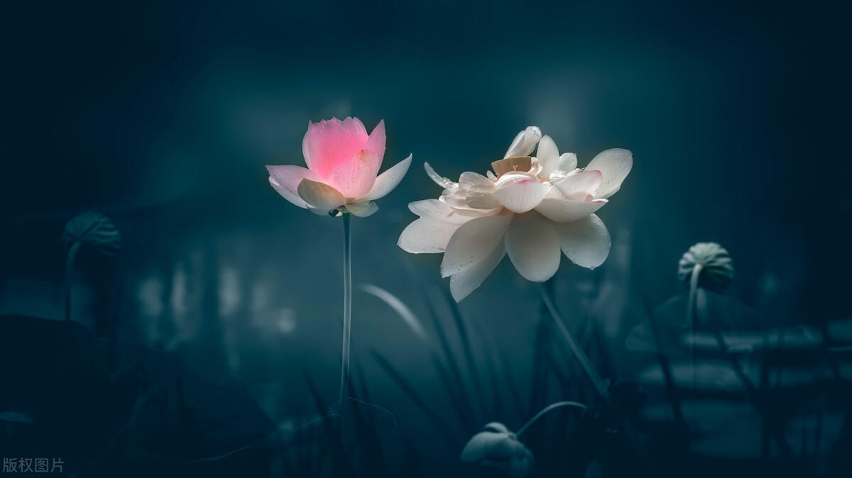 酒店投资加盟运营管理,酒店投资合作的最佳方案