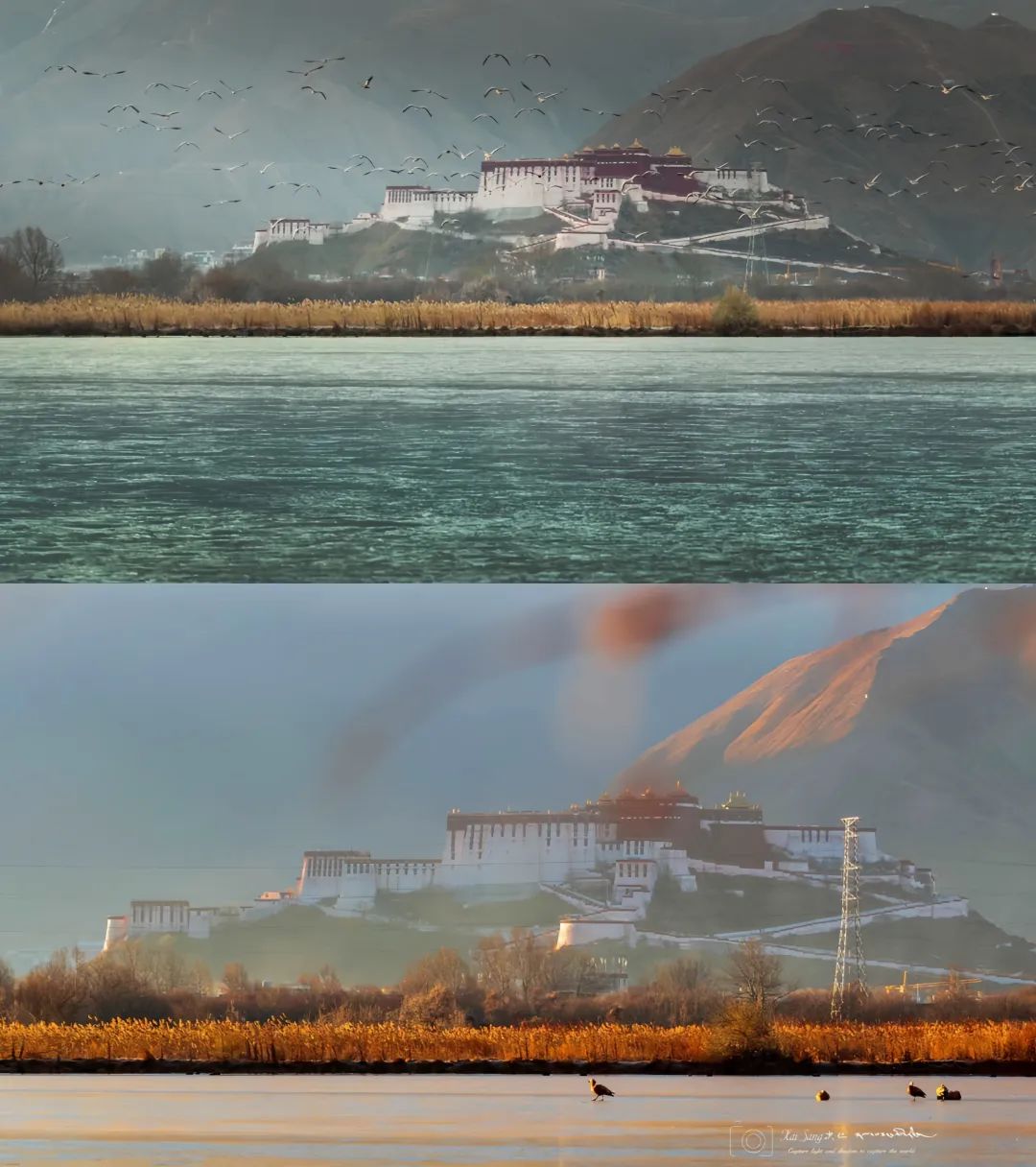 去布达拉宫拍照拍哪几个景点最好,西藏拍摄布达拉宫最佳地点