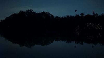 原来它们也有“性丑闻”，这片看完让我大开眼界