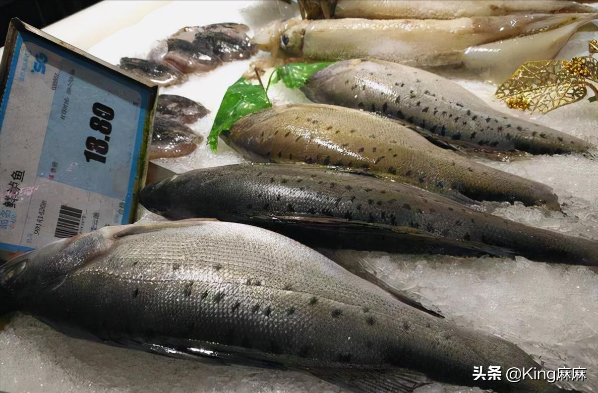 买鲈鱼买开背还是整条好,怎么挑选鲈鱼最好