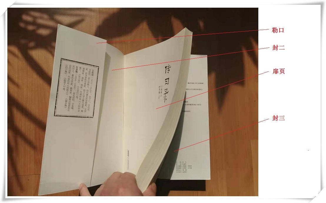 大珊老师:我们习以为常的“书”原来有这么多奥妙