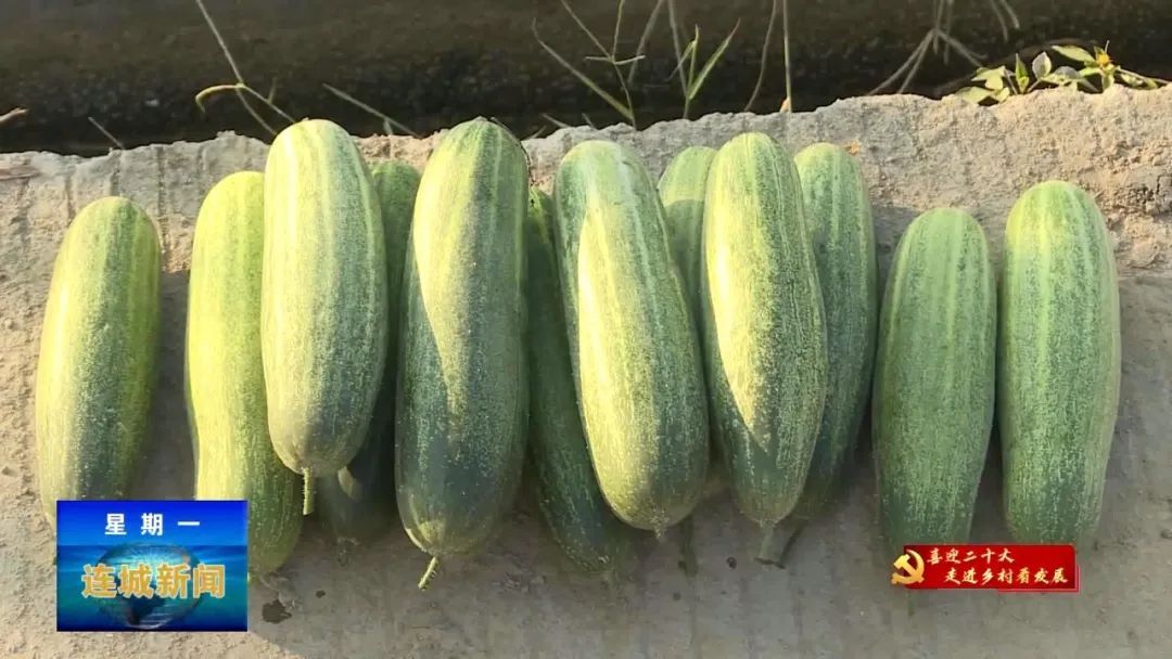 喜迎党的二十大乡村振兴,喜迎二十大乡村建设