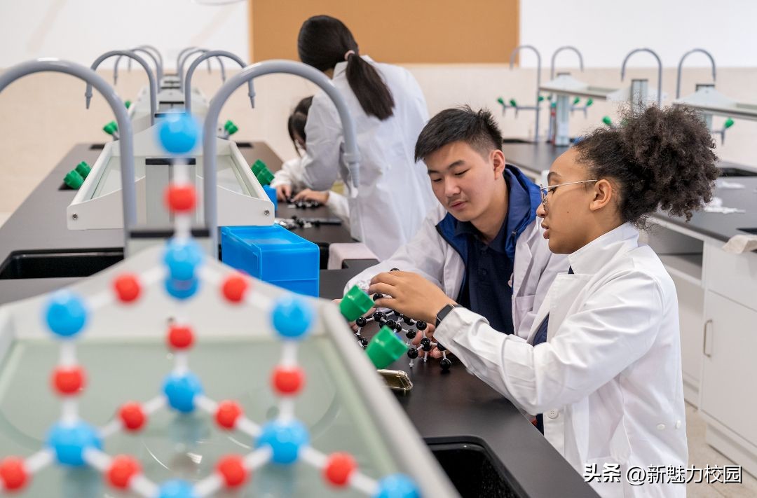 耕耘·我们的教育答卷——雨花台区学校特色与品牌系列报道7