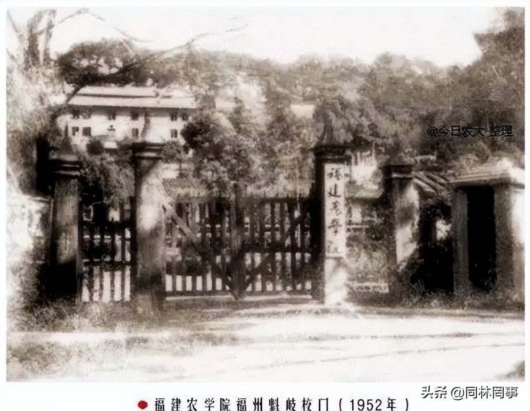 70后眼中的大学146之福建农林大学——农+林,1+1大于了2