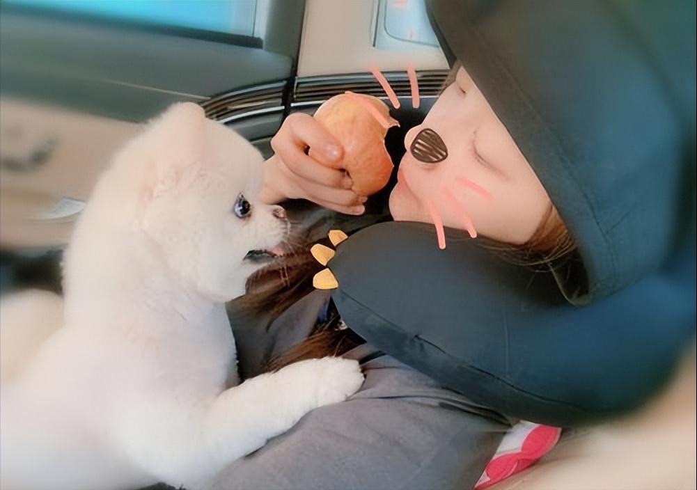 关晓彤养过哪些宠物,关晓彤在家逗狗