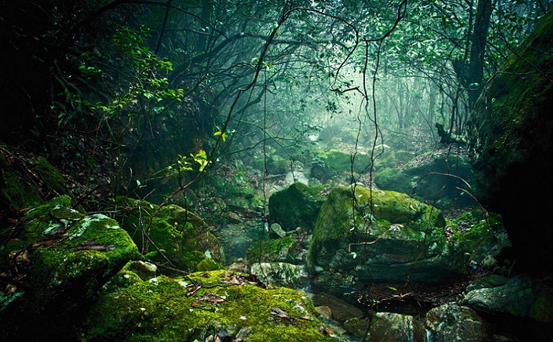 温州必玩的20个景点,温州旅游必去十大景点在哪里