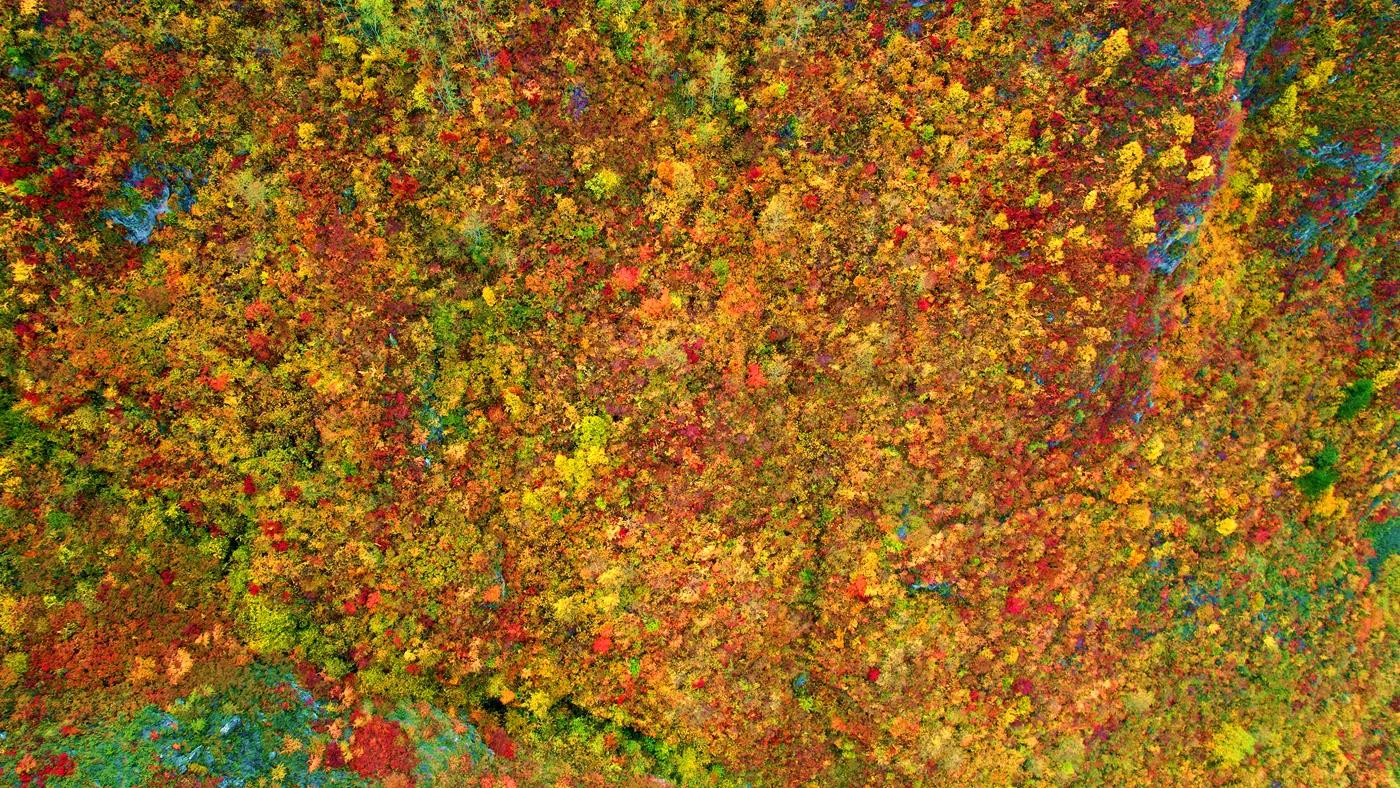 天然氧吧养生避暑,天然氧吧休闲养生的好地方