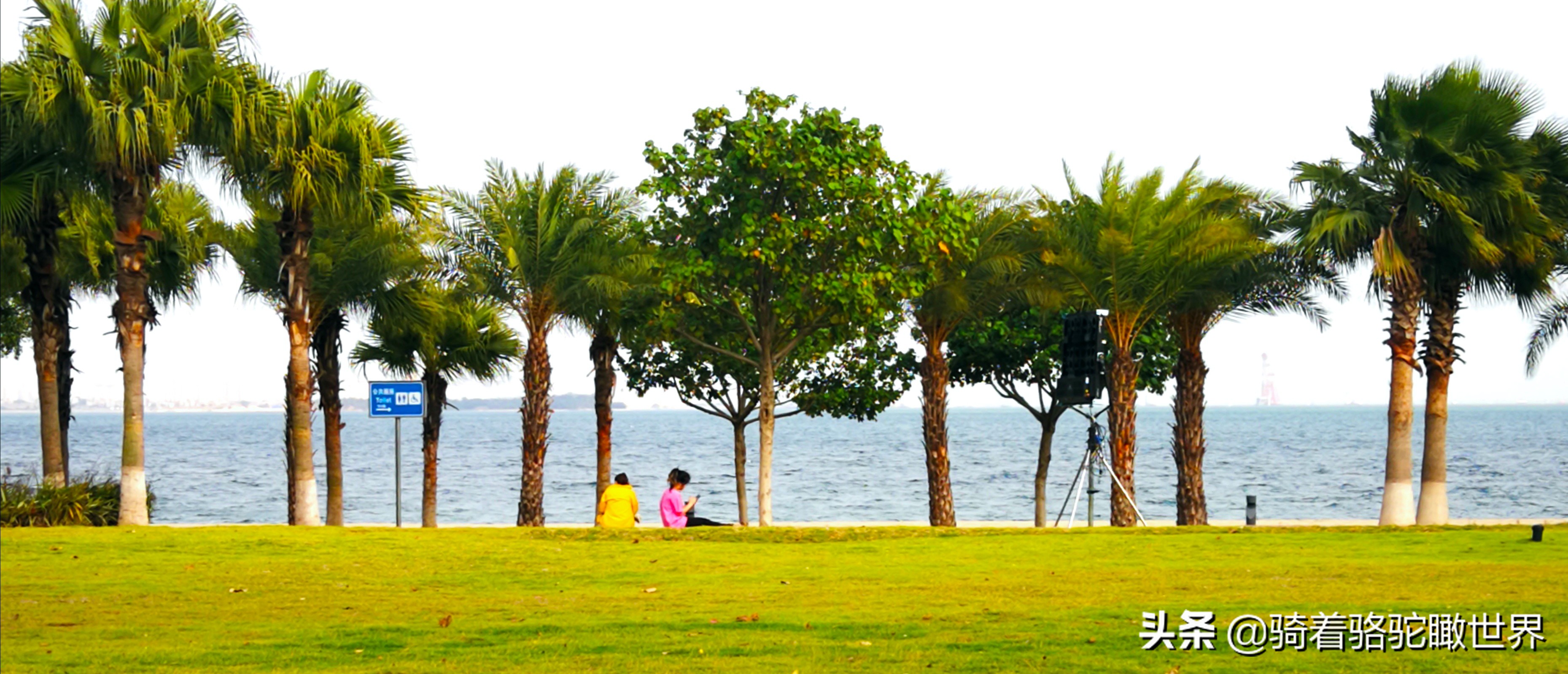 厦门彩虹沙滩赶海地方推荐,厦门鼓浪屿和彩虹沙滩