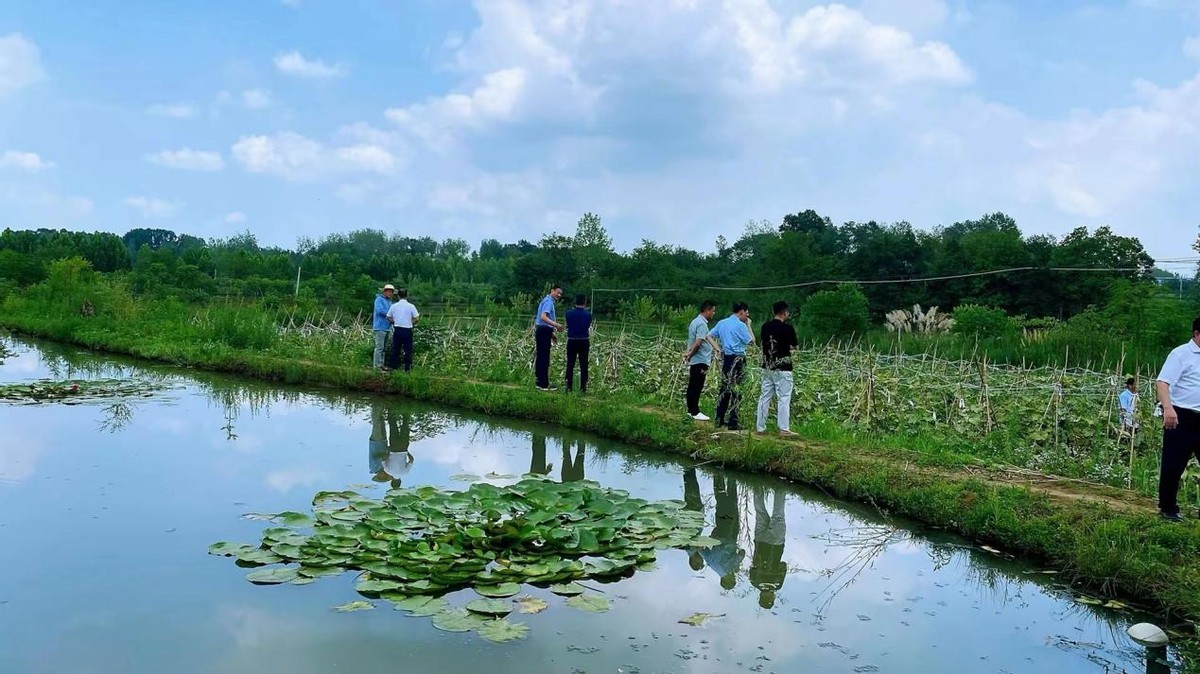 消费帮扶助力乡村振兴,消费帮扶助力乡村振兴视频推介会