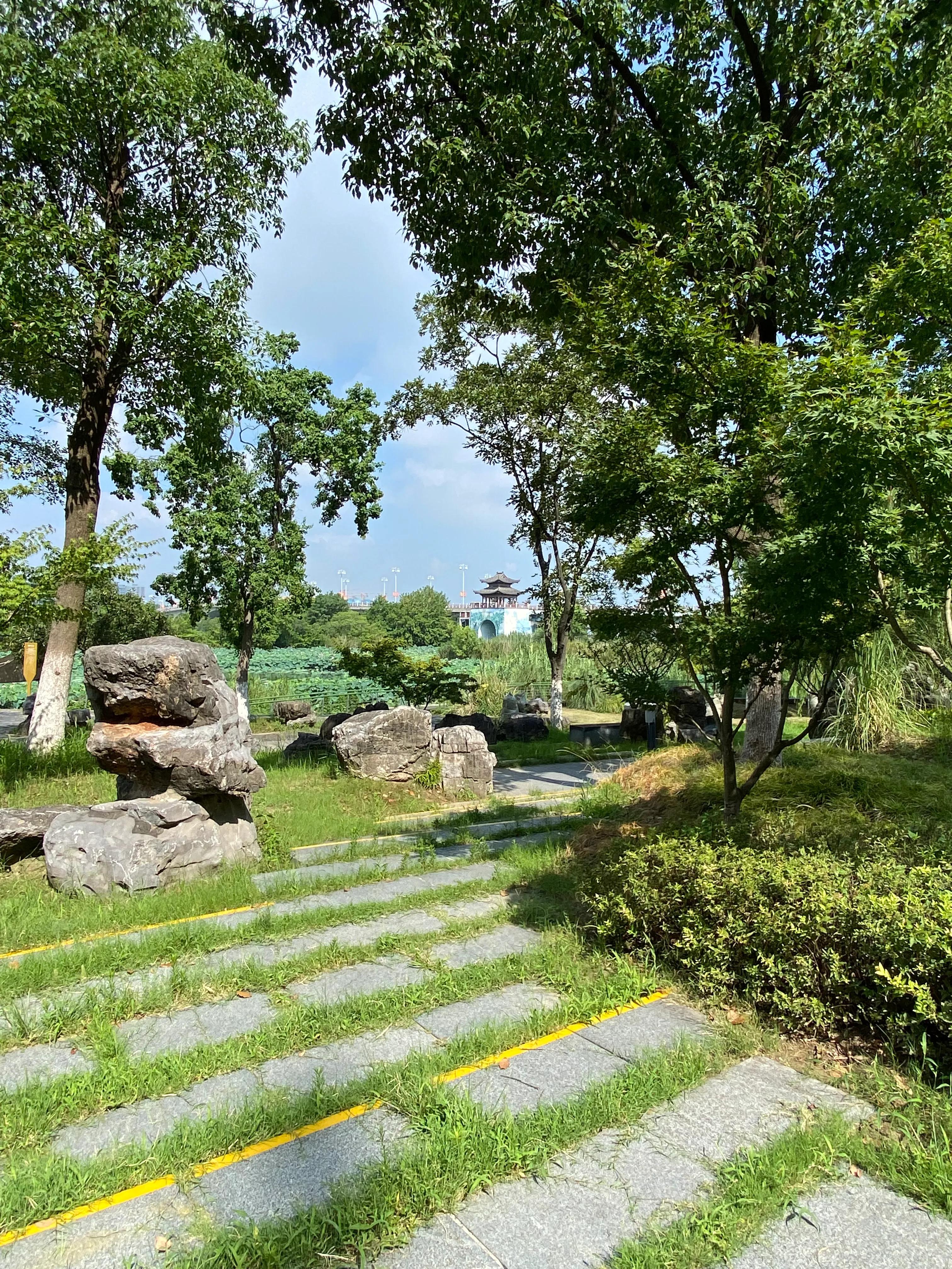 钃濆ぉ鐧戒簯鏌虫爲妗冭姳灏忔ˉ娴佹按,钃濆ぉ鐧戒簯缁挎爲寰闃冲厜鏄庡獨