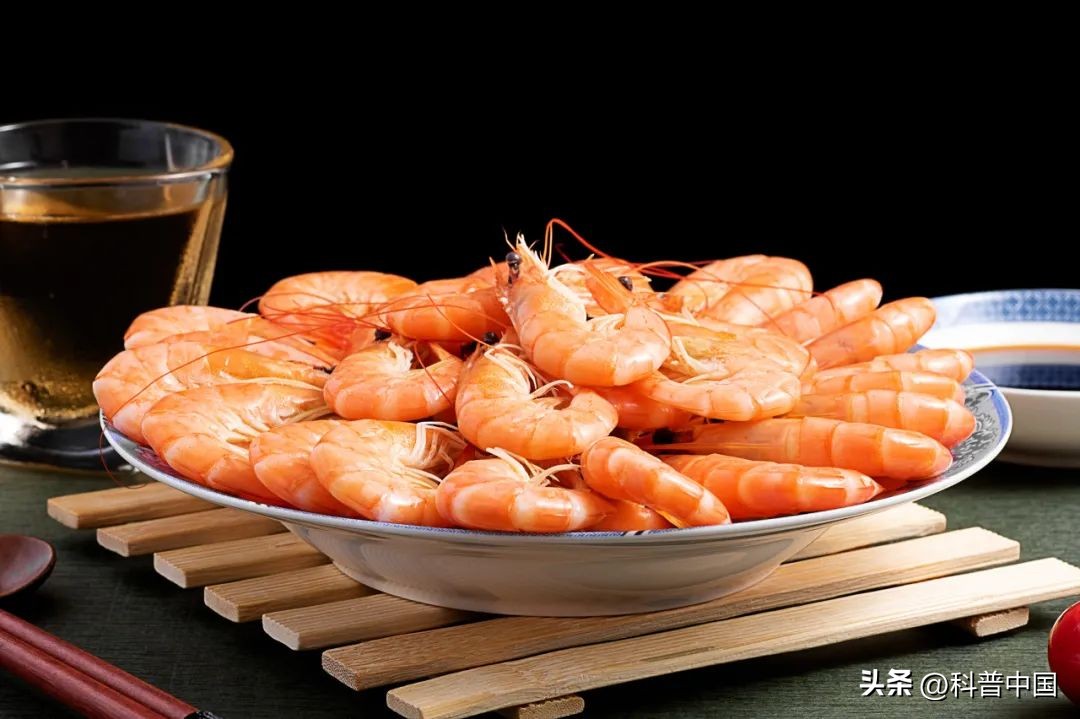 壳包肉包壳包肉……它是远古鱿鱼*亲近**，最后长成“五花肉”