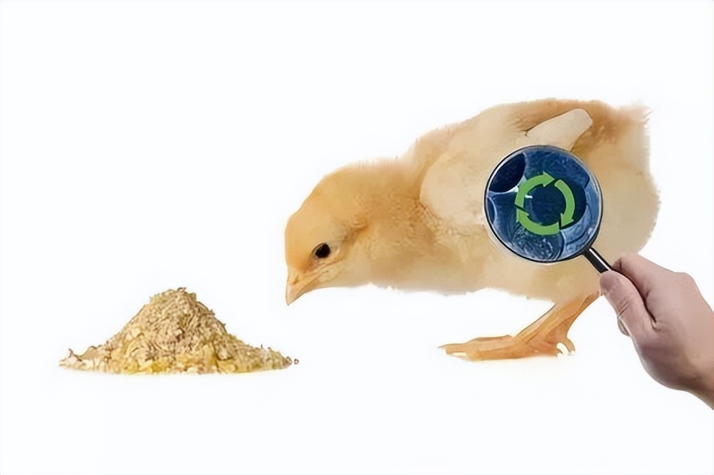 浣庨挋楗叉枡,浣庨挋鏃ョ伯