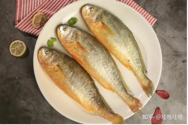 海鲜冰冻保鲜的正确方法,海鲜保鲜温度多少