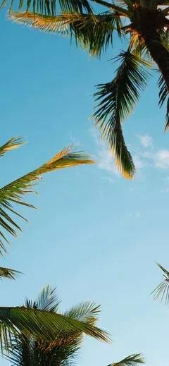 美丽的碧海蓝天壁纸,2018蓝色大海夏天壁纸