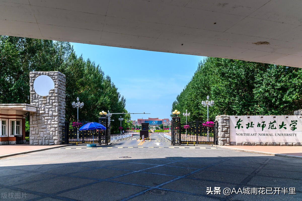 575分录取到东北师范后悔了，网友：还嫌弃东北师范，去复读吧