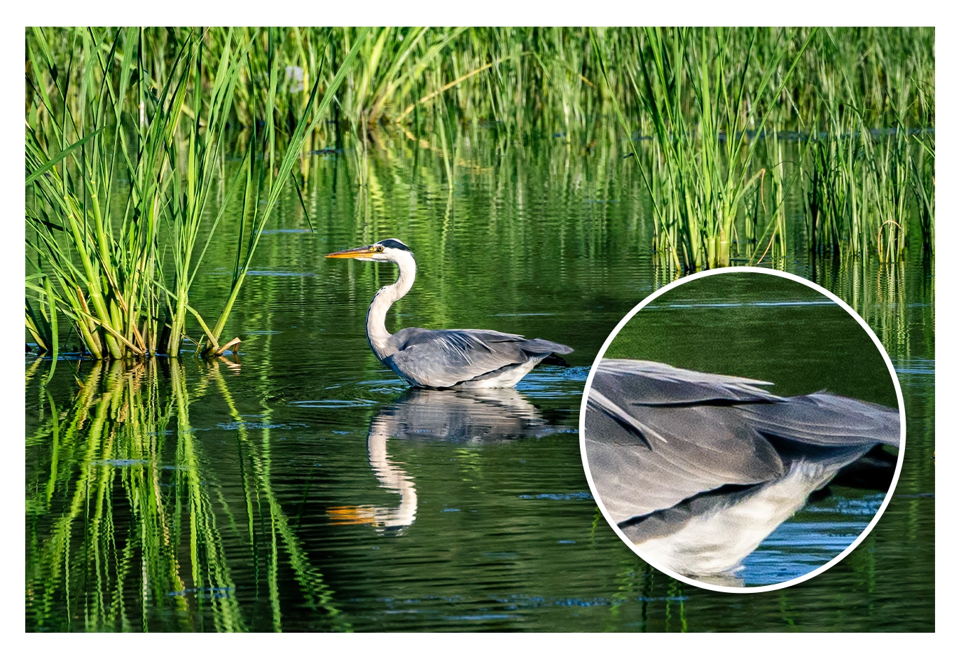 佳能eosr7目前值得买吗,佳能eosr7优缺点