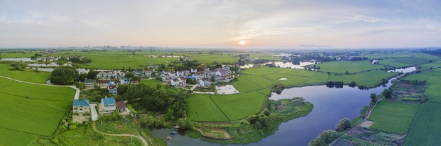 简单实用的秧田病虫草害绿色防控技术