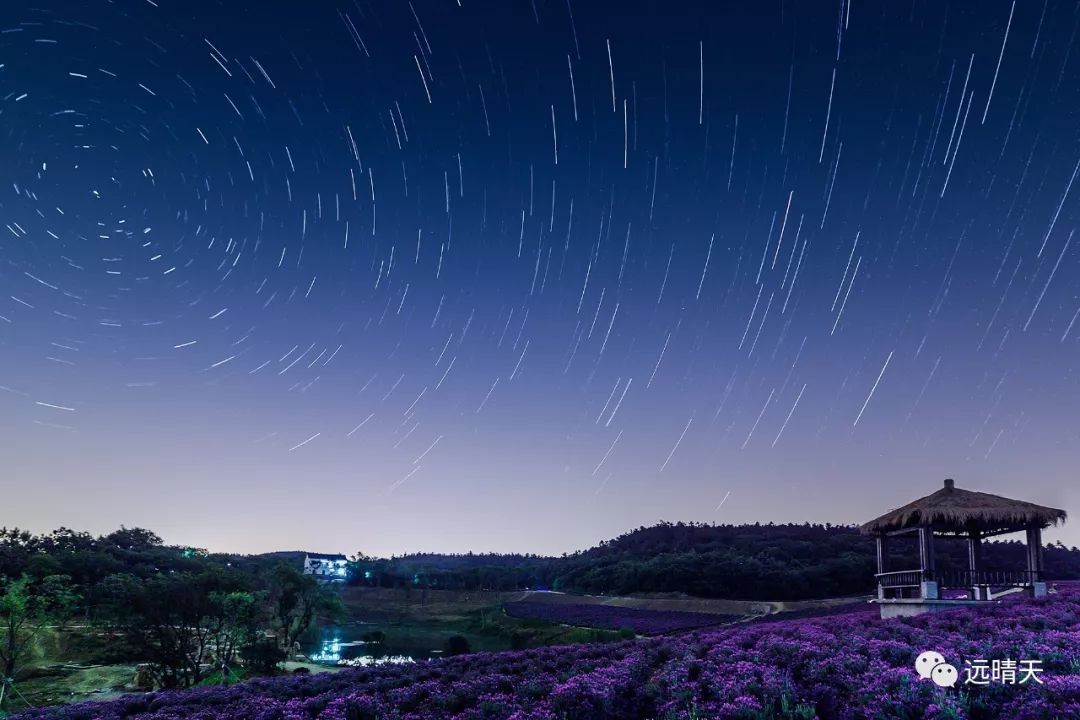 最美江宁四月天,我们只谈春暖花开,诗词歌赋,不聊红尘俗世