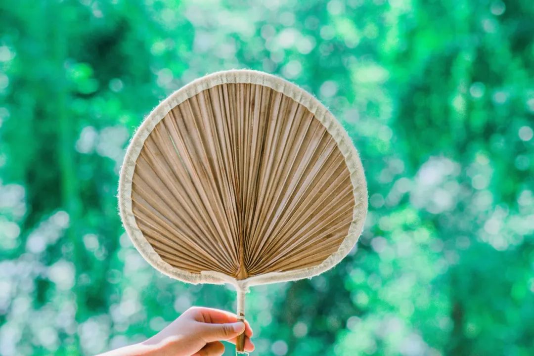 夏天荷花诗句经典名句,夏日荷花唯美诗句