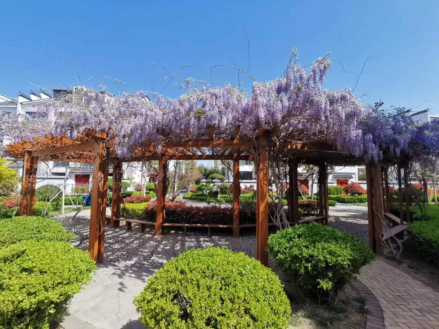 高考英语单词和词组,高考英语词汇是指哪些