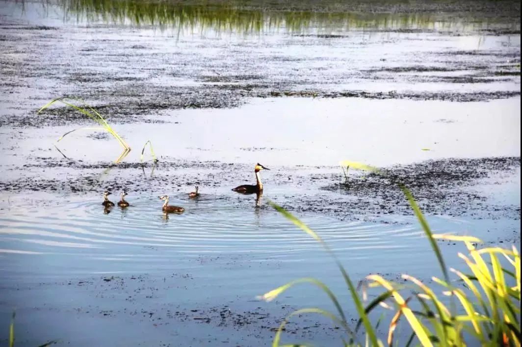鏃跺厜浜ら敊鏈楄,鏃跺厜浜ょ粐