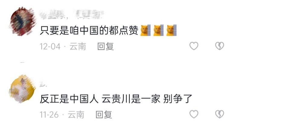 世界杯中国护旗手,世界杯中国云南护旗手