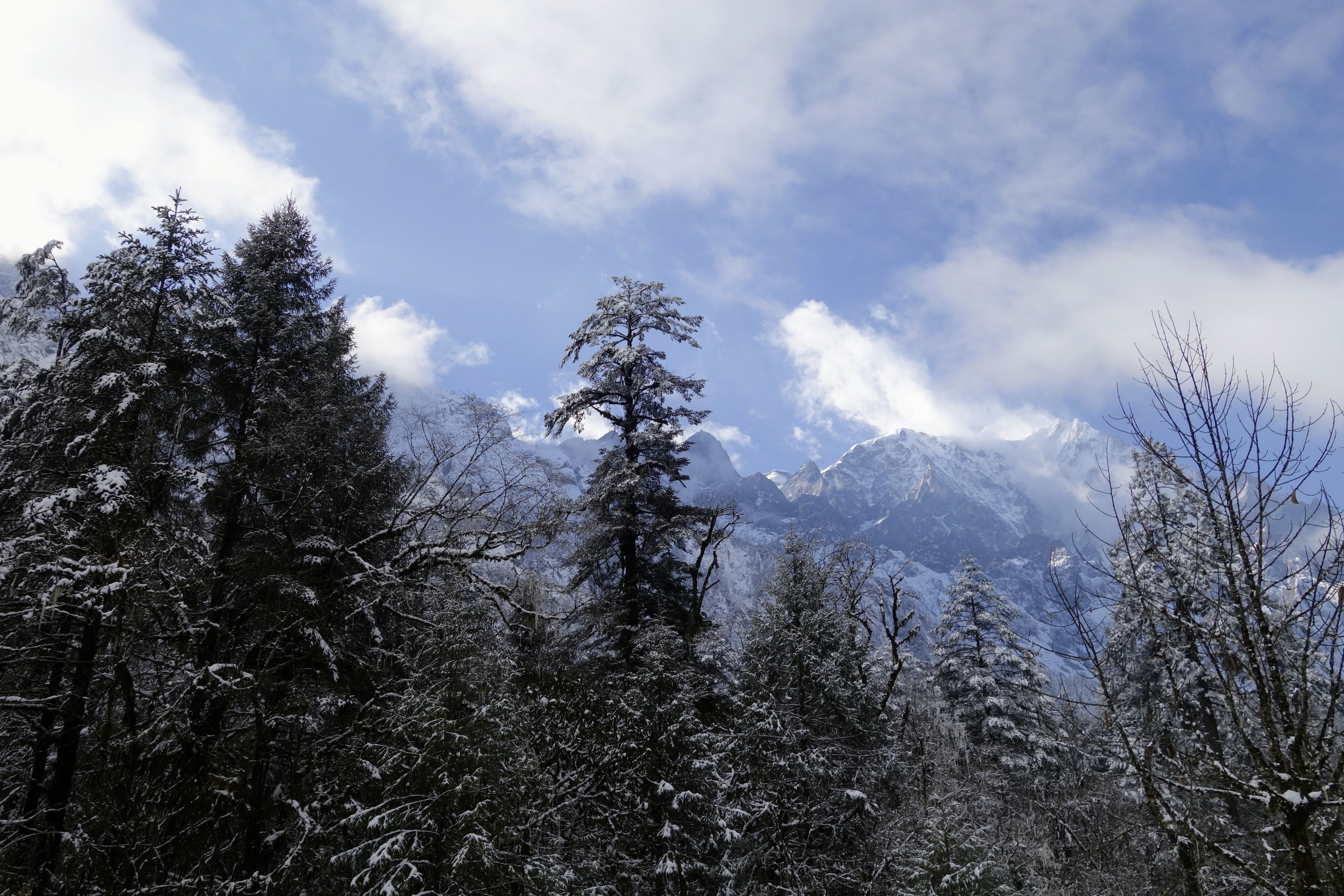 川西圣境游玩攻略,甘孜燕子沟攻略