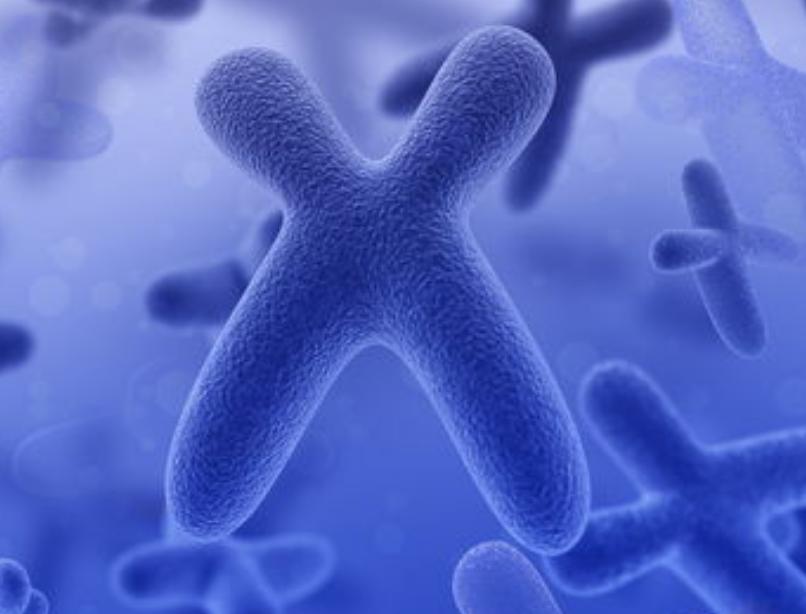 没有阴道的女人，和正常女性有何差异？“石女”到底是怎么回事？