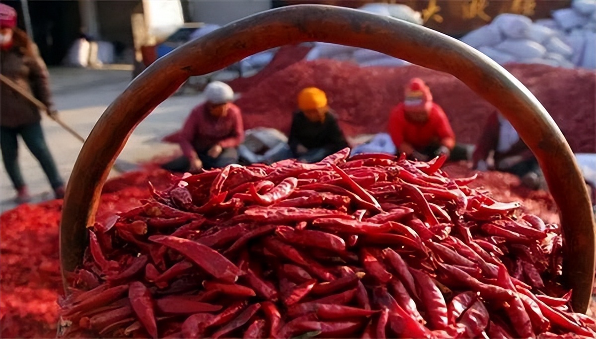 被超级辣的辣椒辣到了怎么办,如果你吃辣椒的时候被辣到怎么办