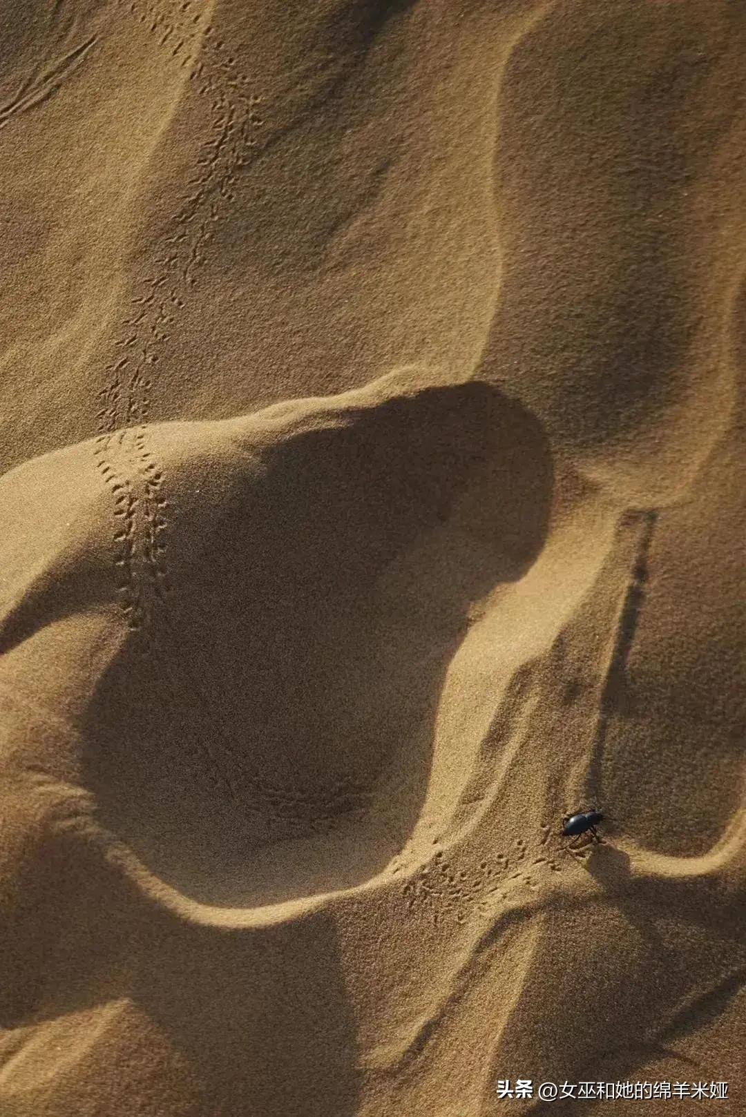 探索中卫／不止是旅行，也是生活