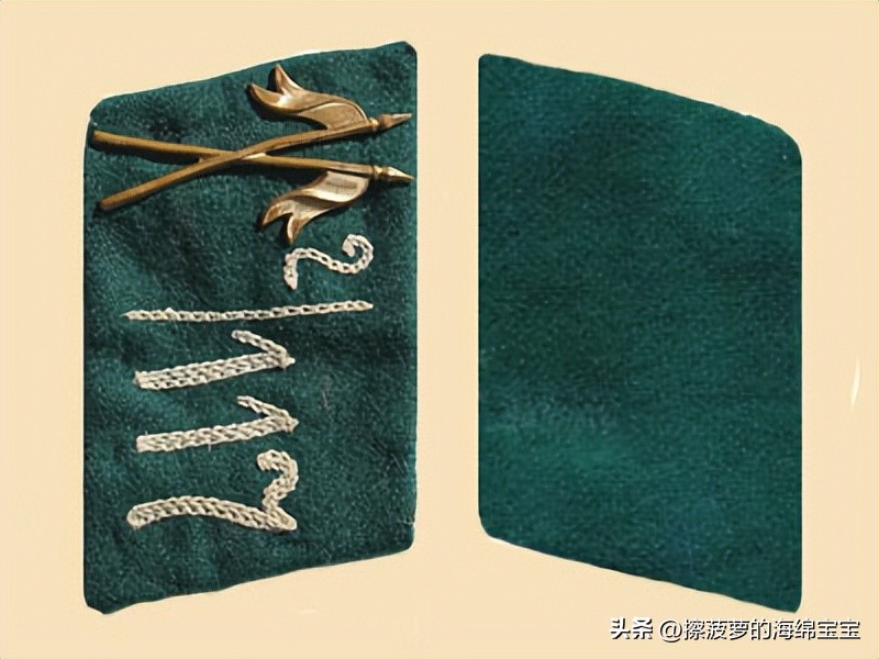 纳粹冲锋队用的什么枪,纳粹德军军衔图解