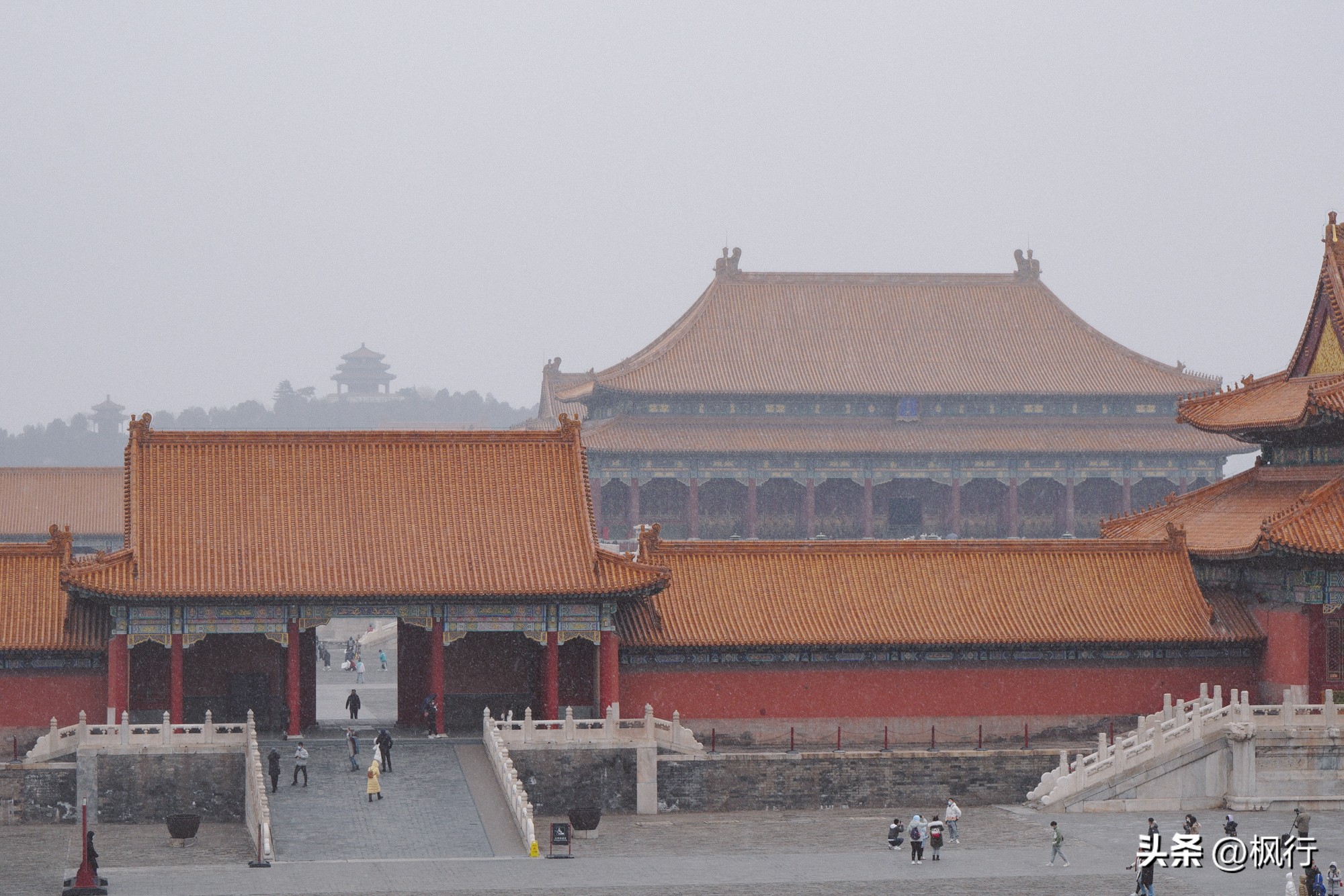 故宫开启雪景模式北京迎今冬初雪,北京下雪去哪里看故宫最好看