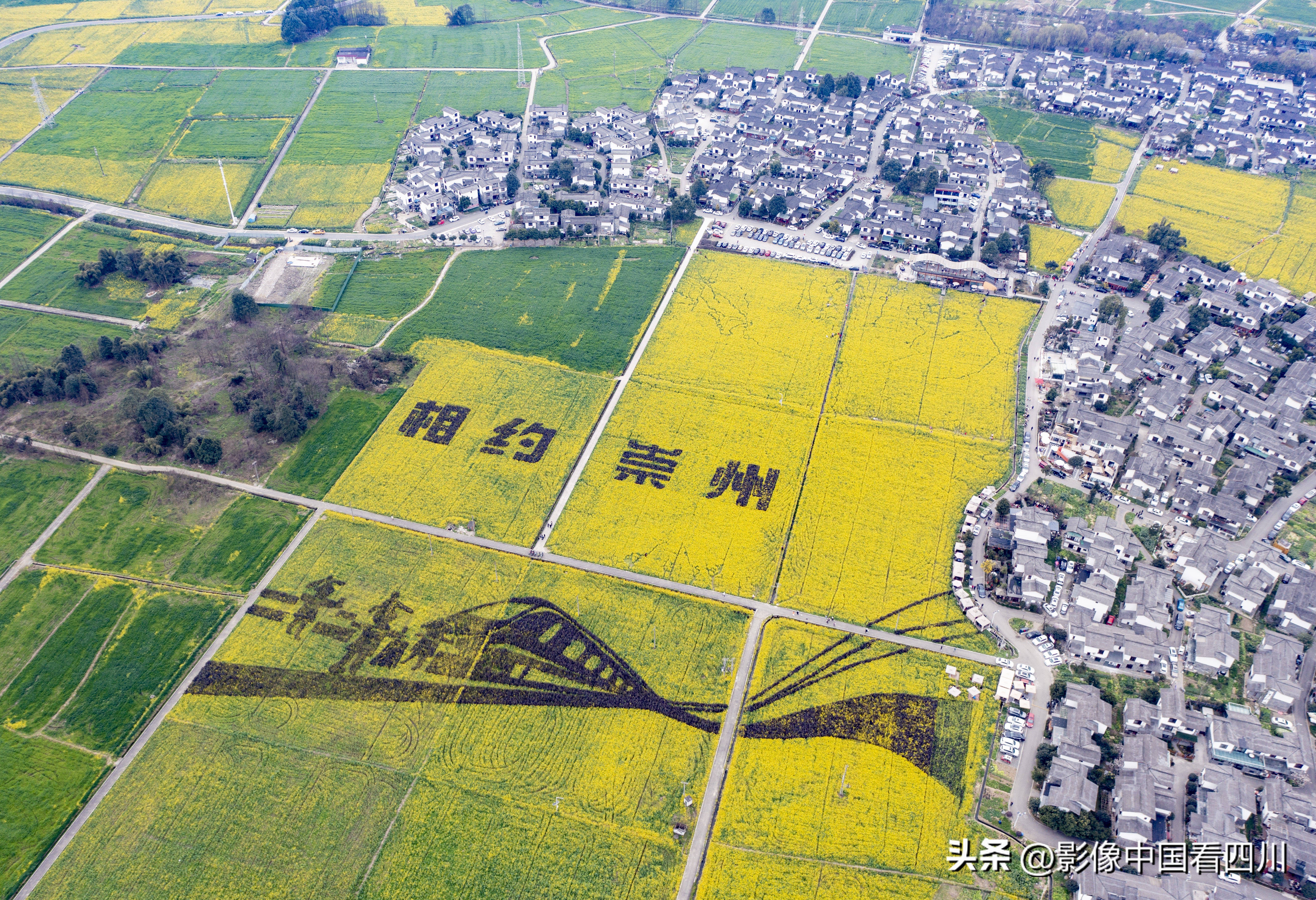 刘国兴的2022年:冬去春来,愿岁月静好(上集)