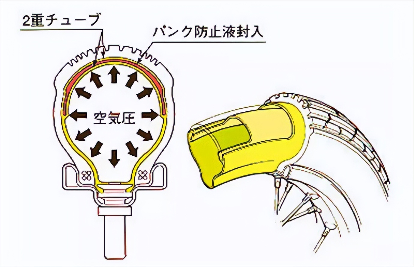 二轮考古学-本田幼兽编年史合集（1952-今）